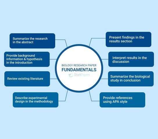 Course Image La ricerca dell'informazione scientifica per la tesi di laurea (primavera) 25/26
